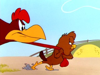 Cartoon picture of a chicken and a hawk 