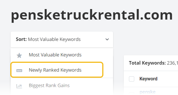 A drop down menu shows the sorting options for a site's SEO keywords, and the highlighted option is Newly Ranked Keywords.